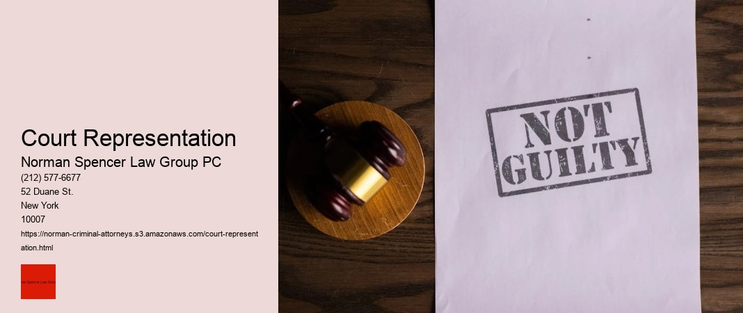 Court Representation