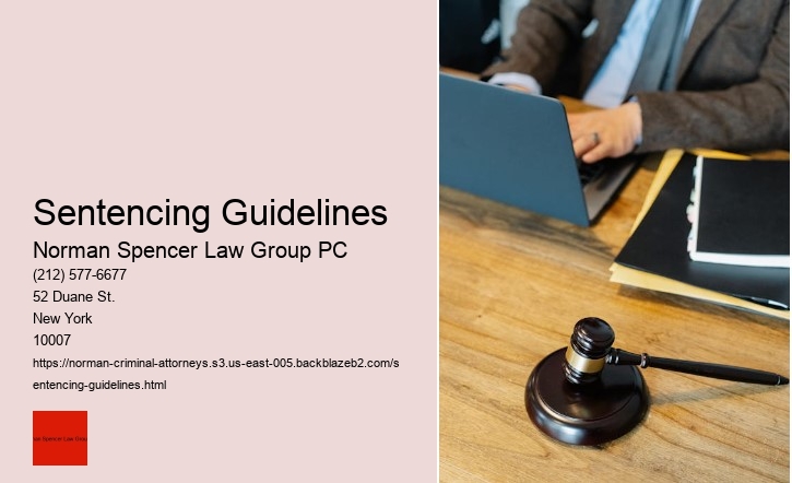Understanding the role of a NYC criminal attorney.